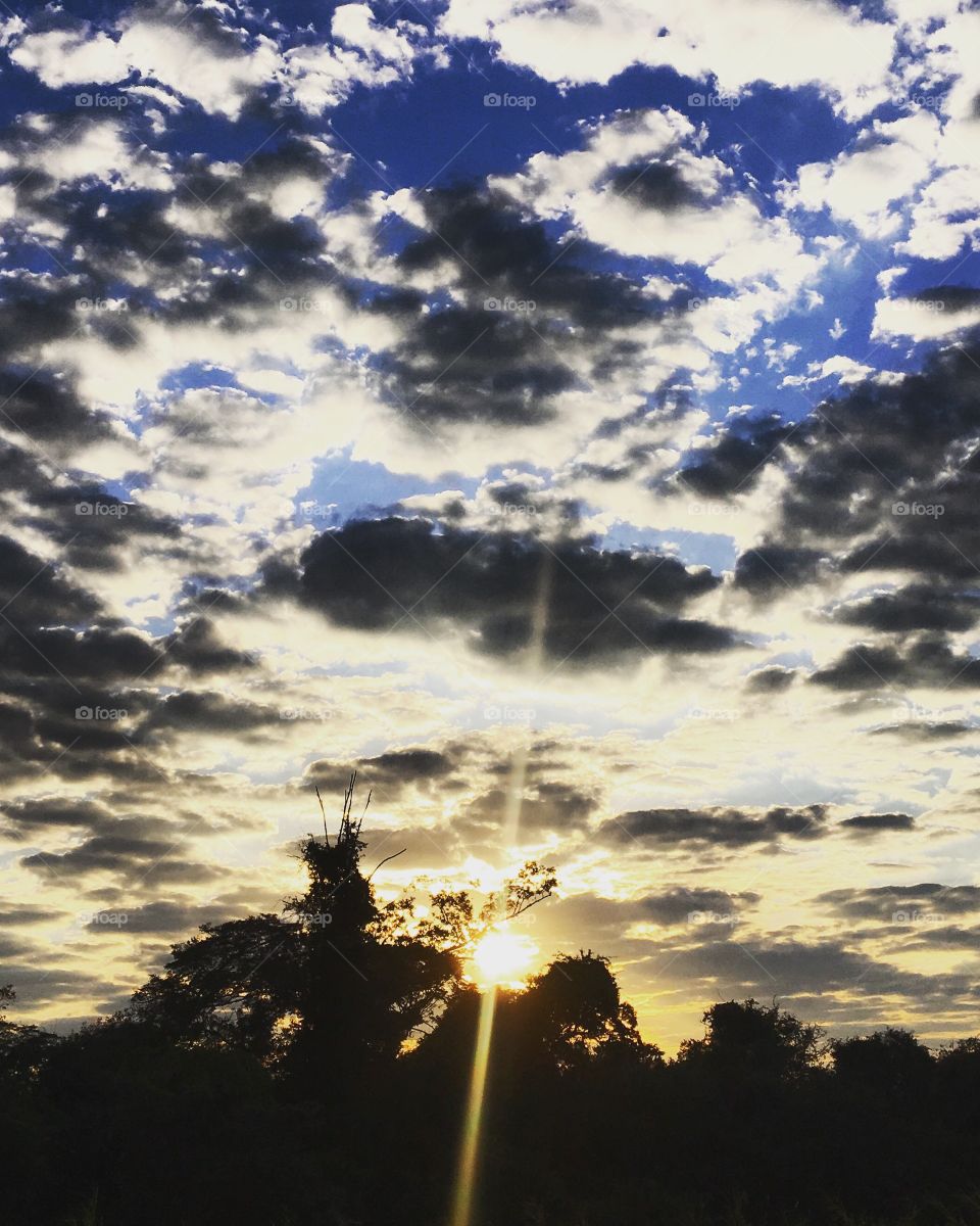 🌅07h - Desperte, #Jundiaí.
Que a #TerçaFeira possa valer a pena!
🍃
#sol #sun #sky #céu #photo #nature #morning #alvorada #natureza #horizonte #fotografia #pictureoftheday #paisagem #inspiração #amanhecer #mobgraphy #mobgrafia 