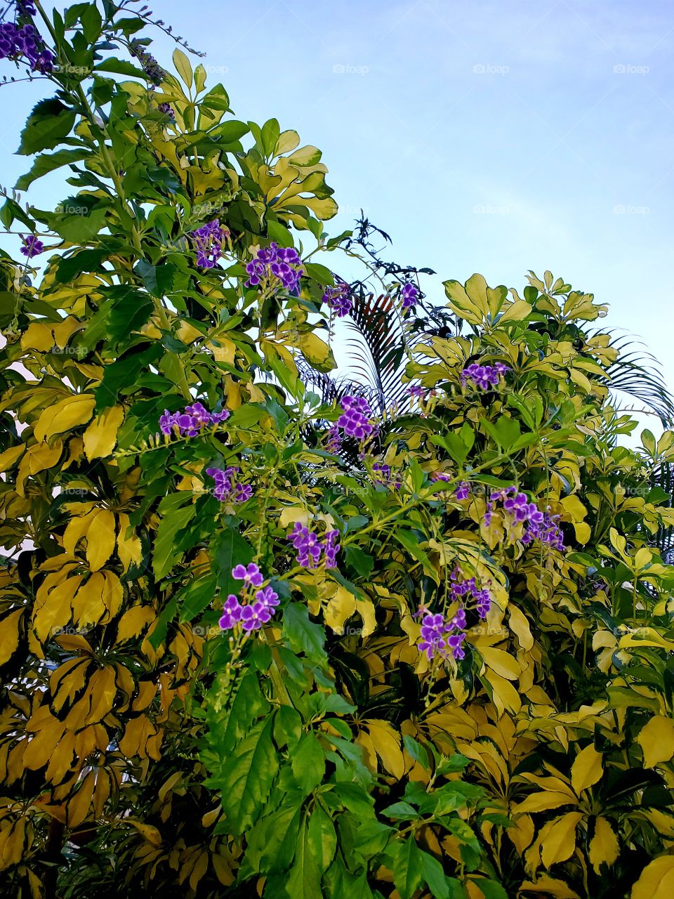 wonderful mother nature