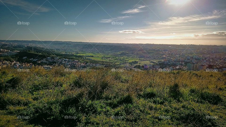 Landscape after training