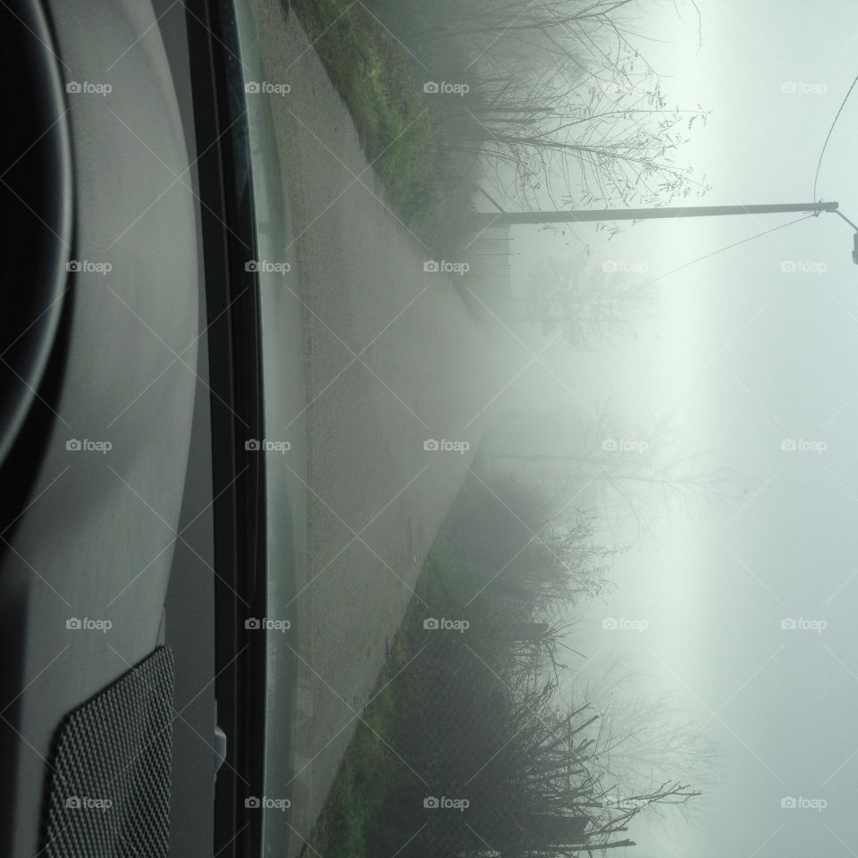 Foggy fog driving