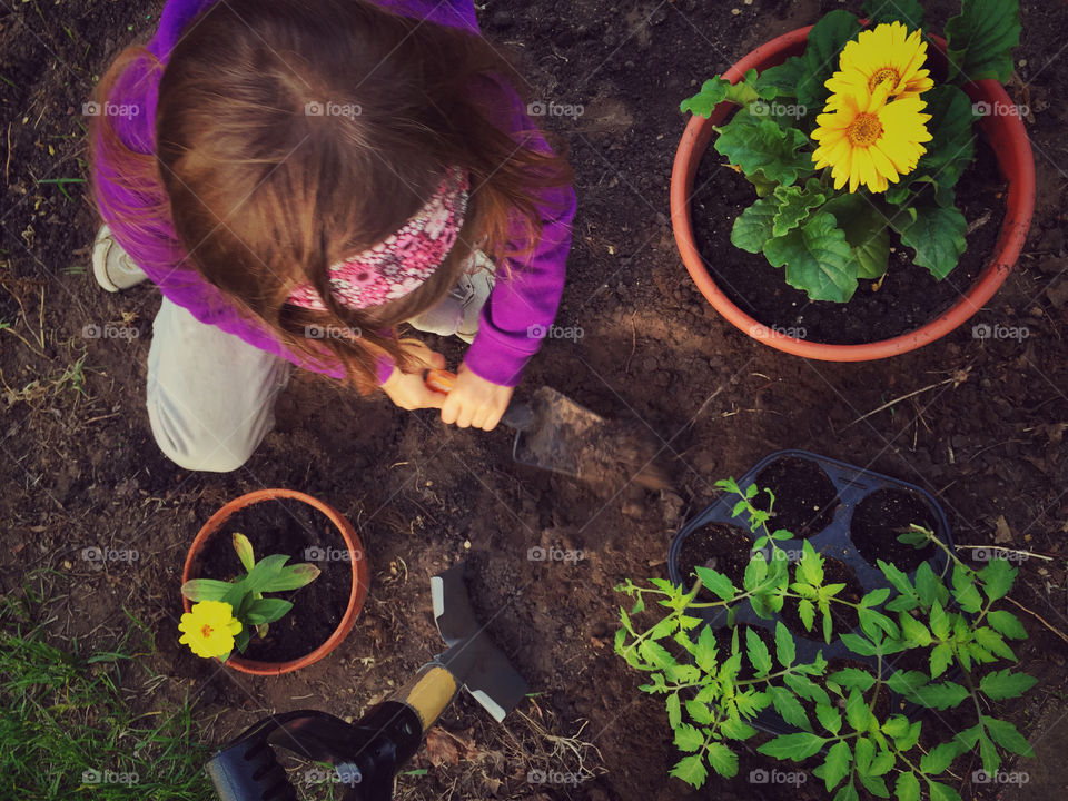 Garden's First Seedling