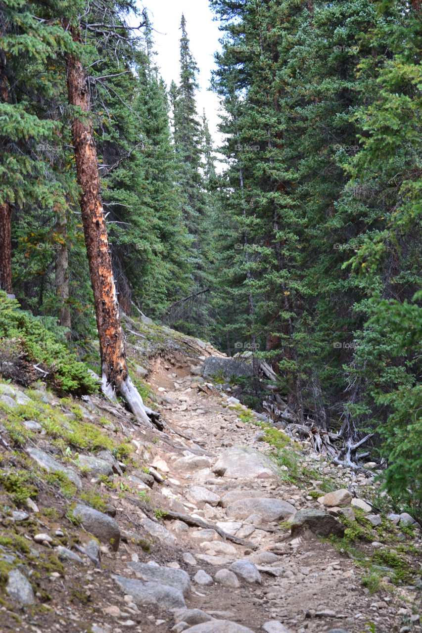 Colorado trail 
