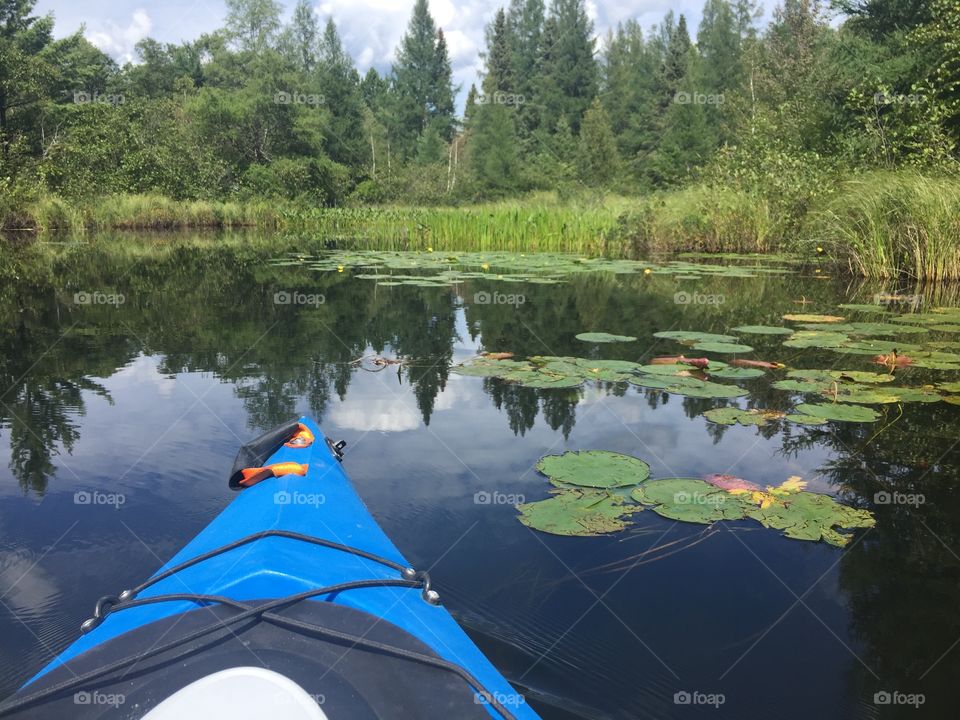 A paddler's eye view as he meanders up a small stream in Northern Wisconsin.