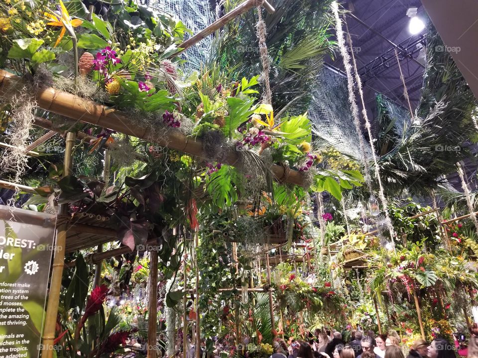 Flower Show rainforest