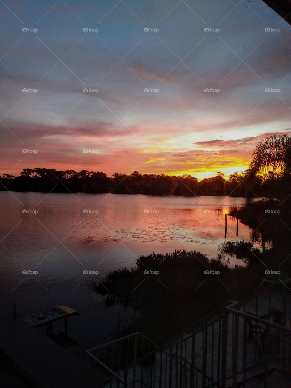Sunrise on Florida lake
