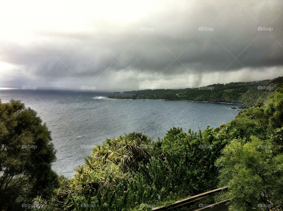 From the road to Hana