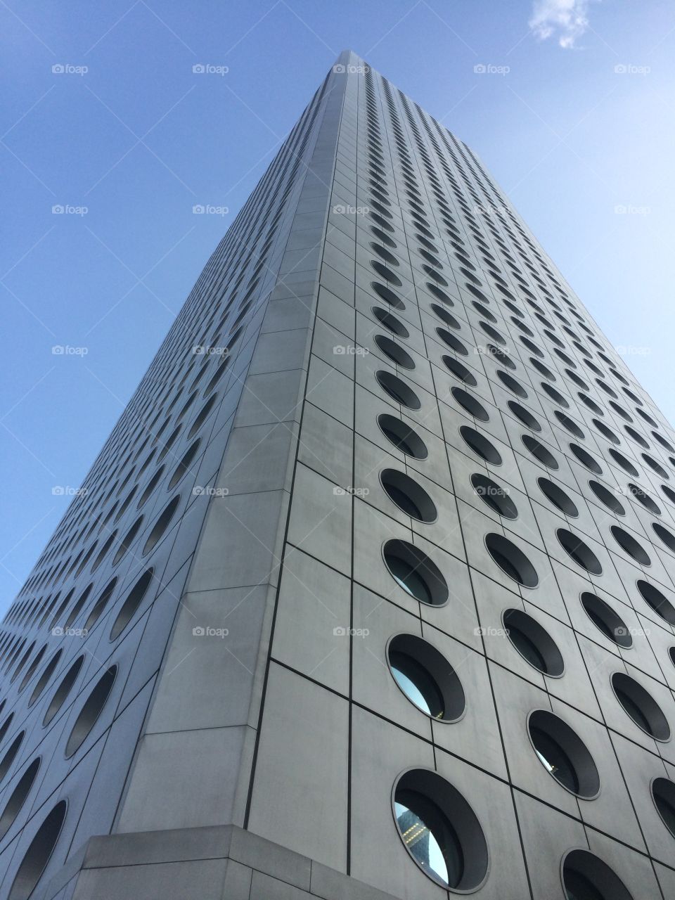 Swiss Cheese . Hong Kong 