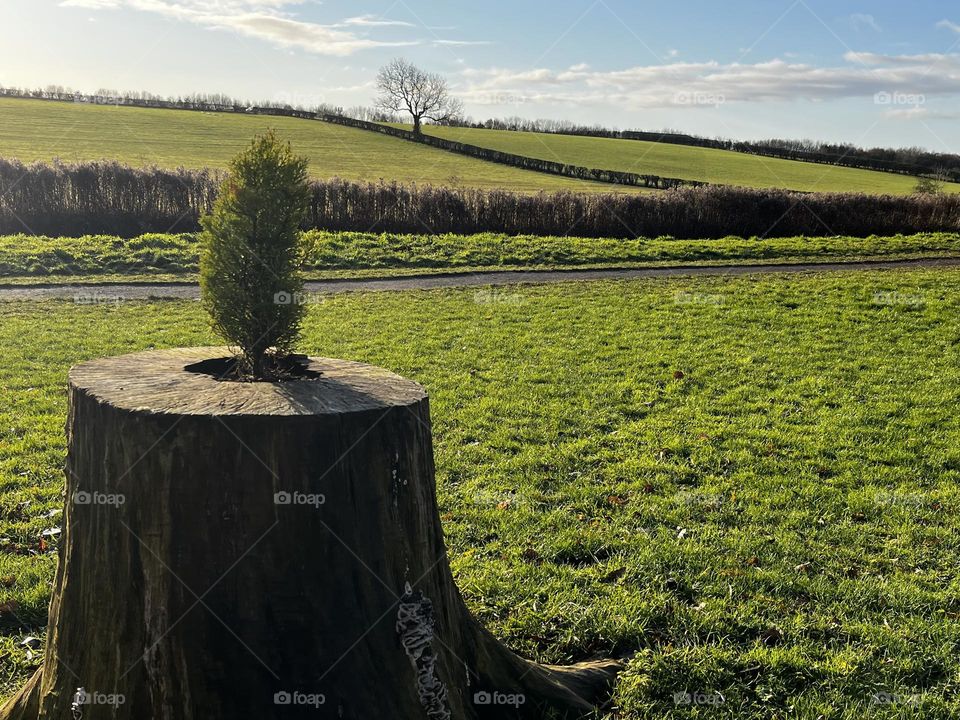 A beautiful view of the countryside 
