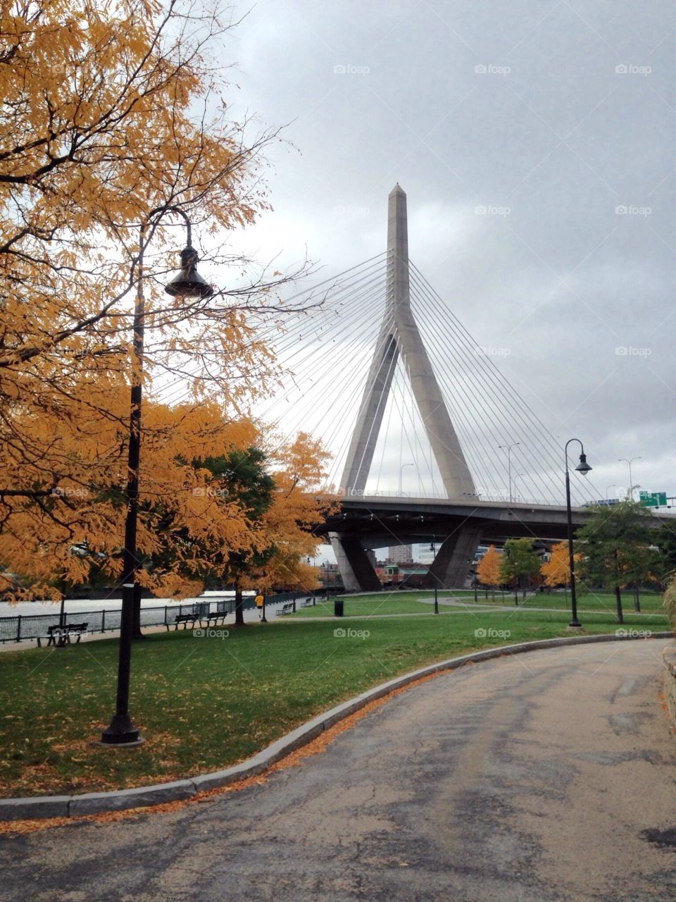 Bridge of the future