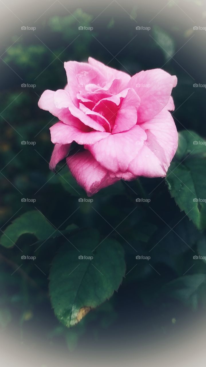 that day came faster than I th......