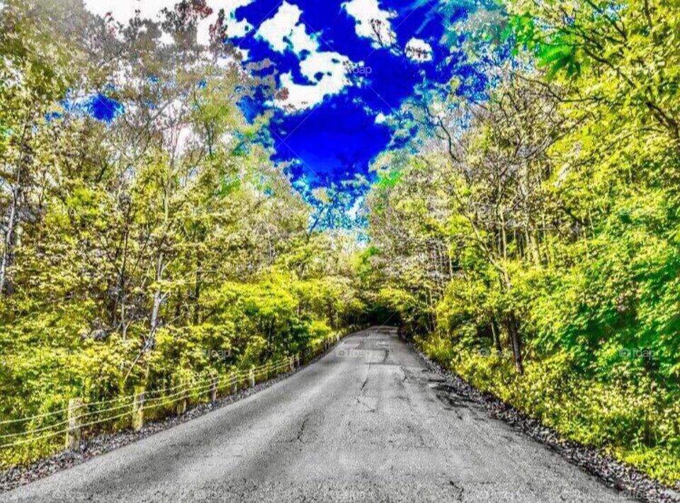 Mt.Airy Cincinnati,Ohio 