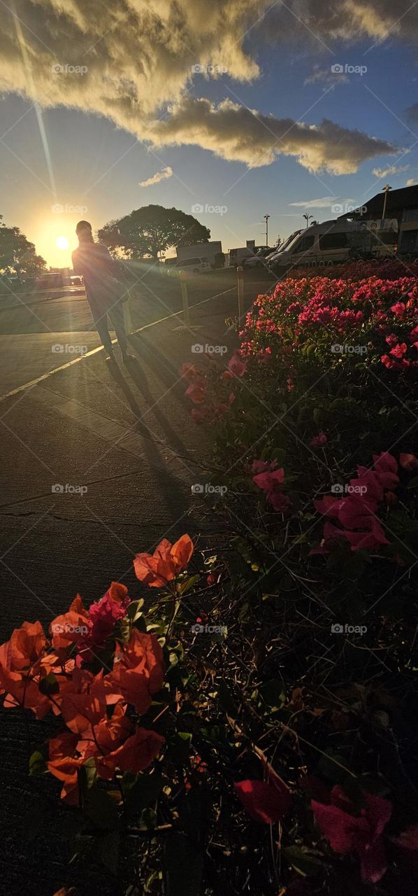 Honolulu,  Hawaii