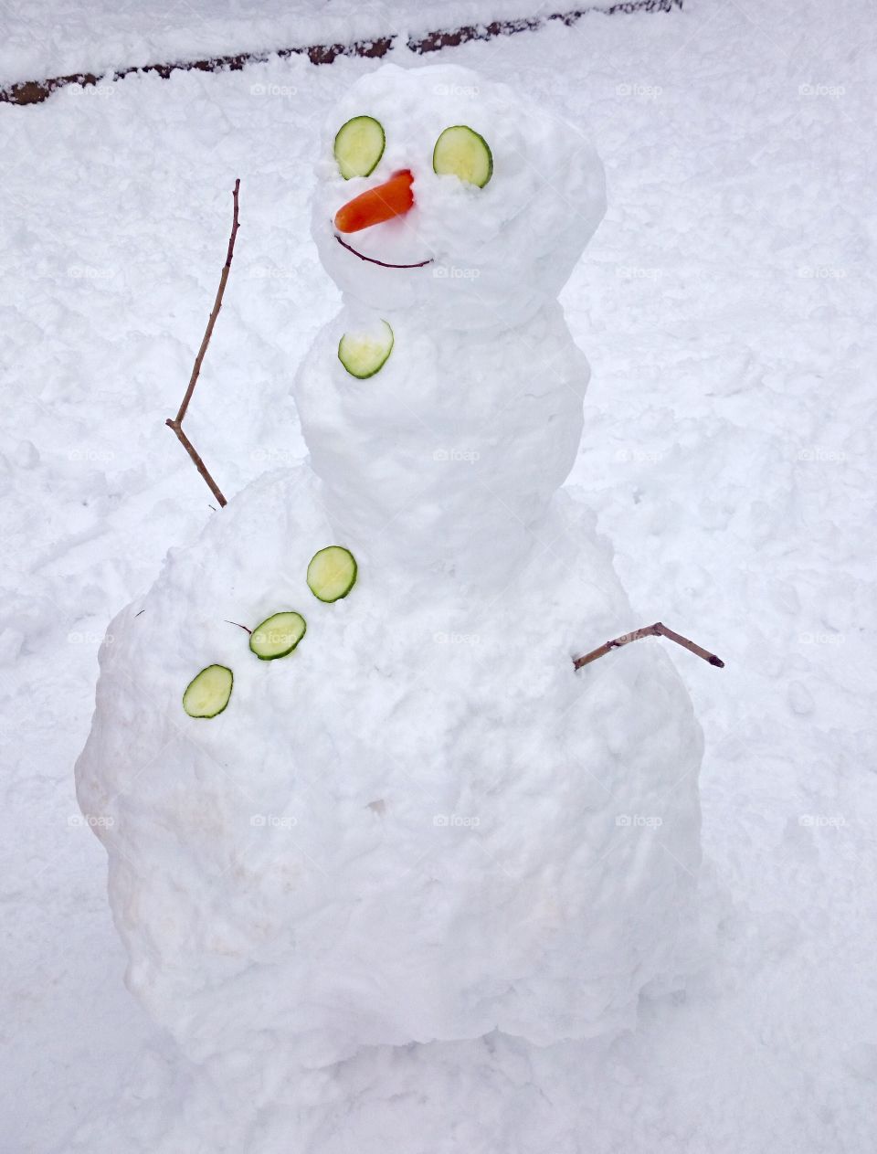 Close-up of snowman