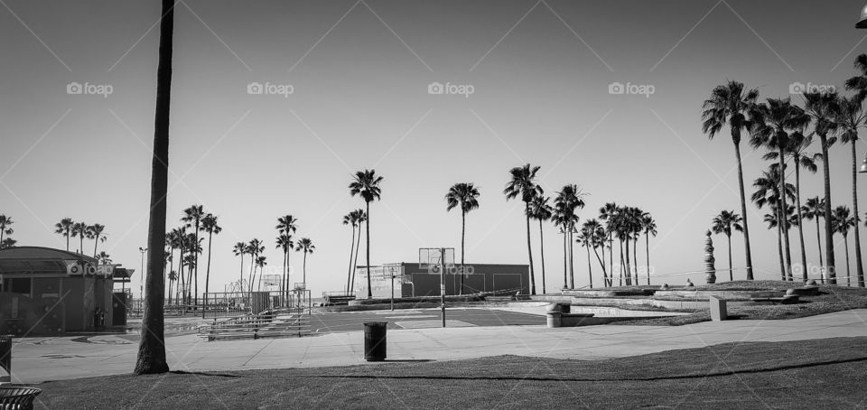 Venice Beach B&W Lockdown