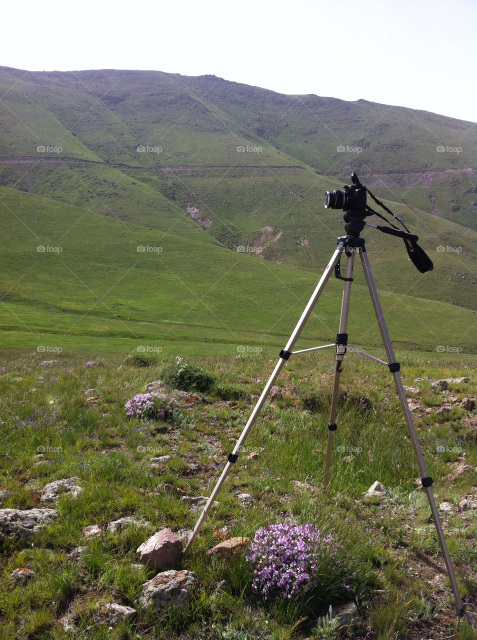 mountain camera iran ardabil by nader_esk