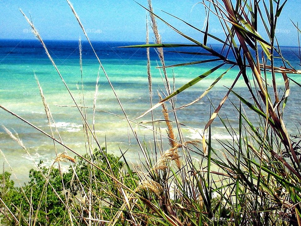 Low sea under the grass 