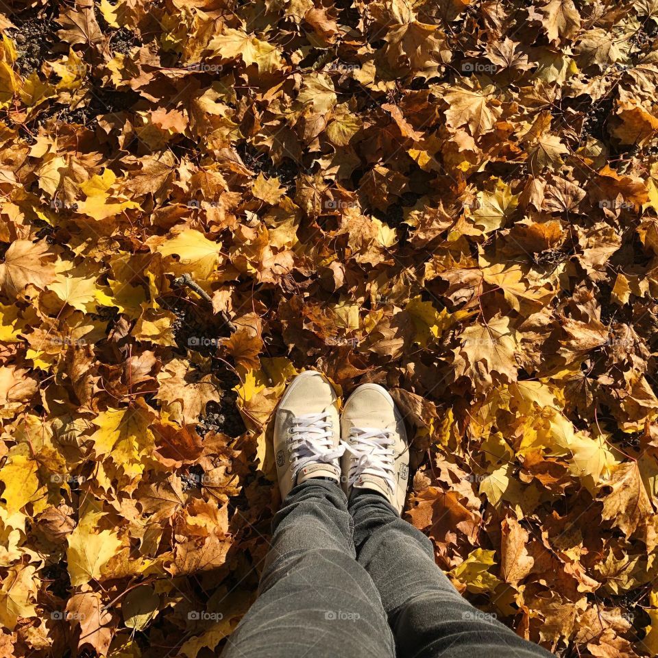 Autumn foots