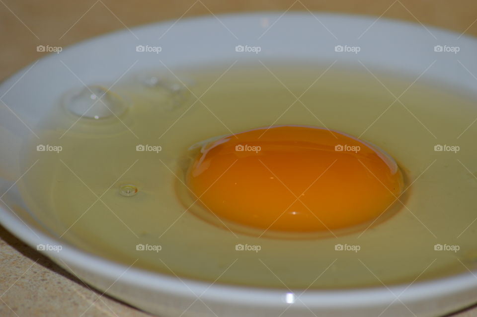 egg