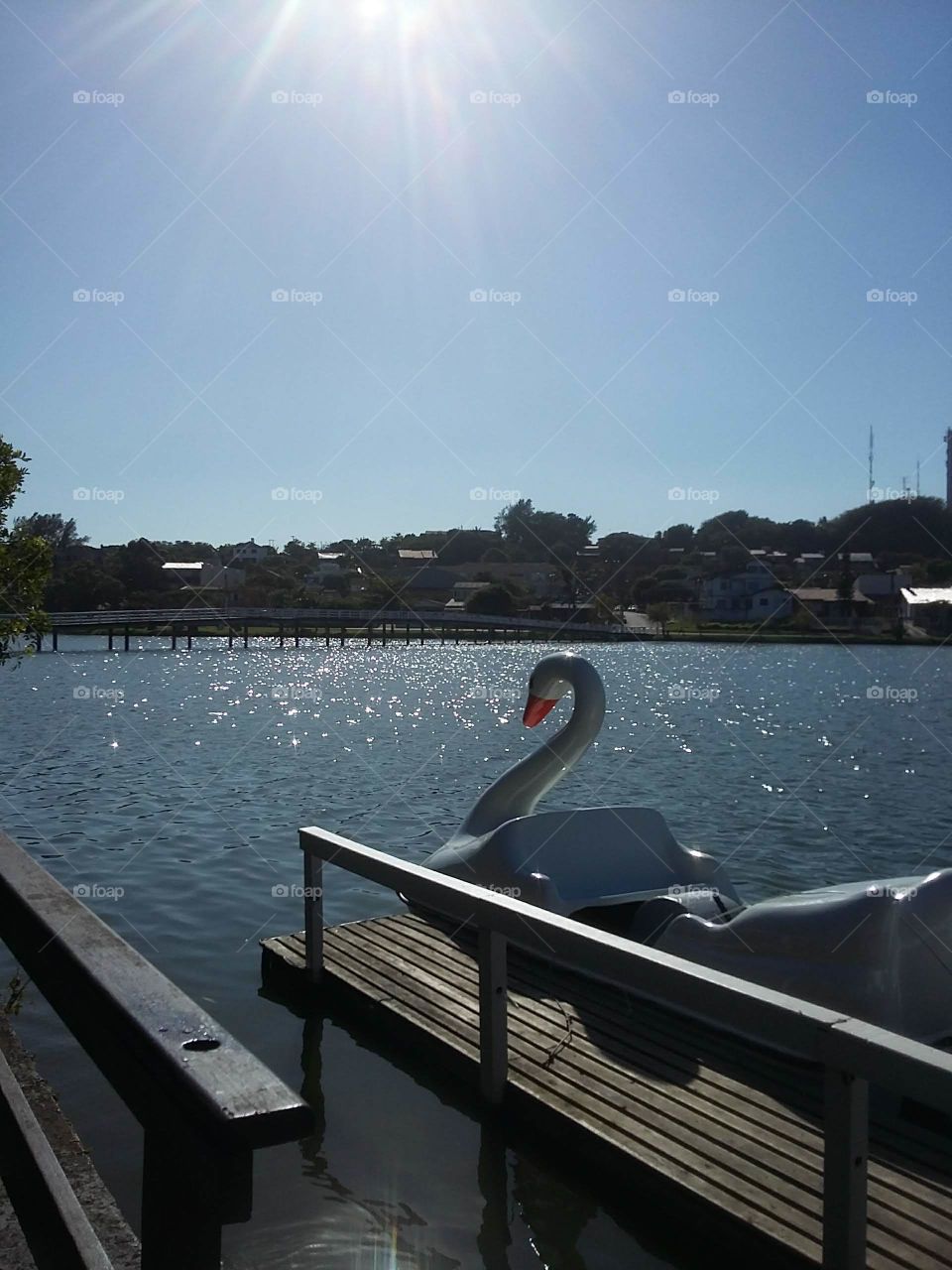 The lake and the pedal boats