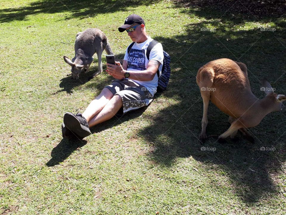 Filming the kangaroos