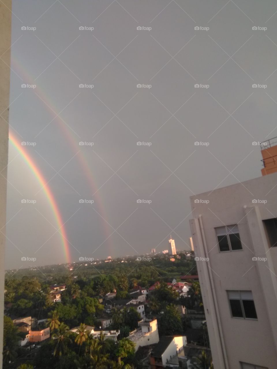 Rainbow