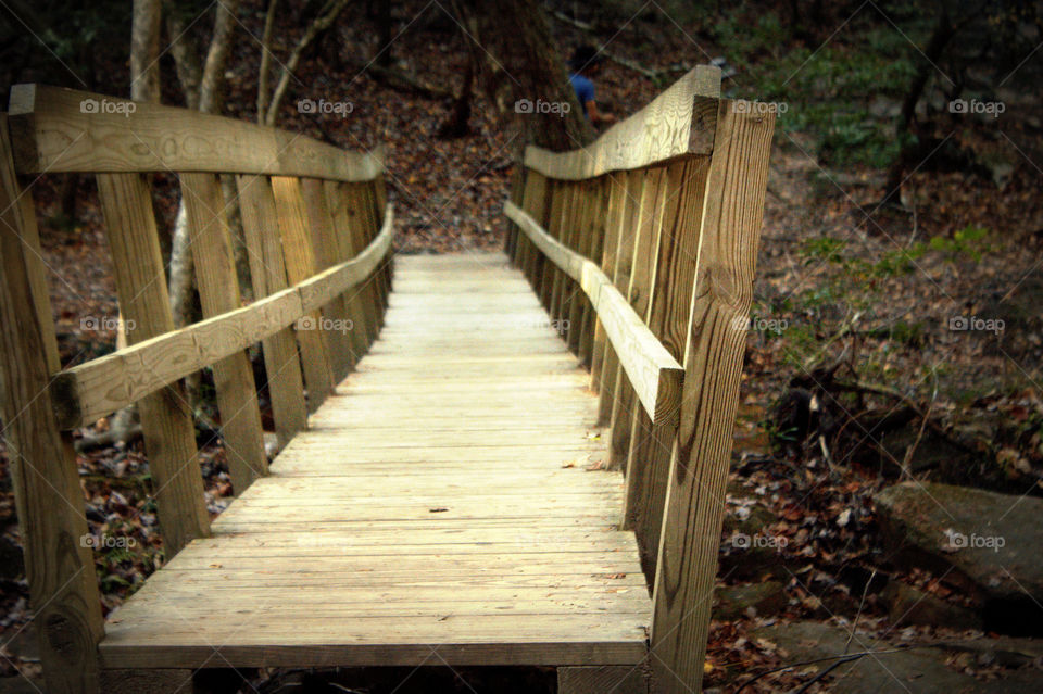 A wood bridge crossing a little creek