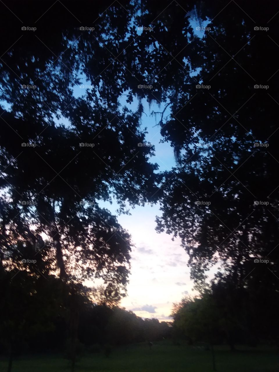 sunrise gets brighter as it rises across the field