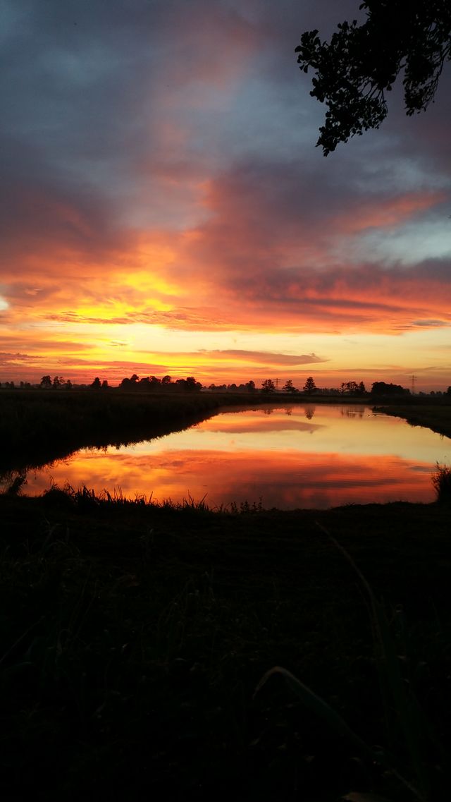 Sunrise