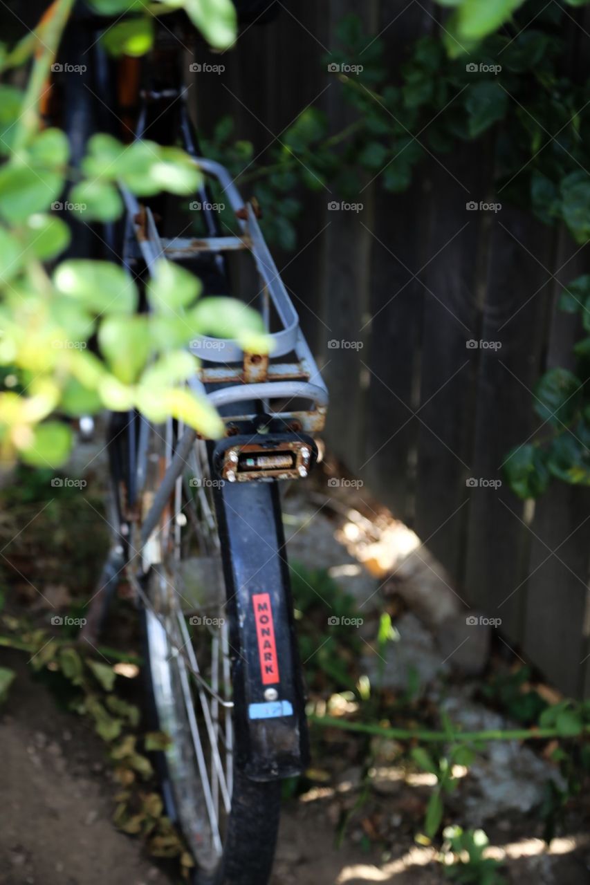 Bicycle in the garden