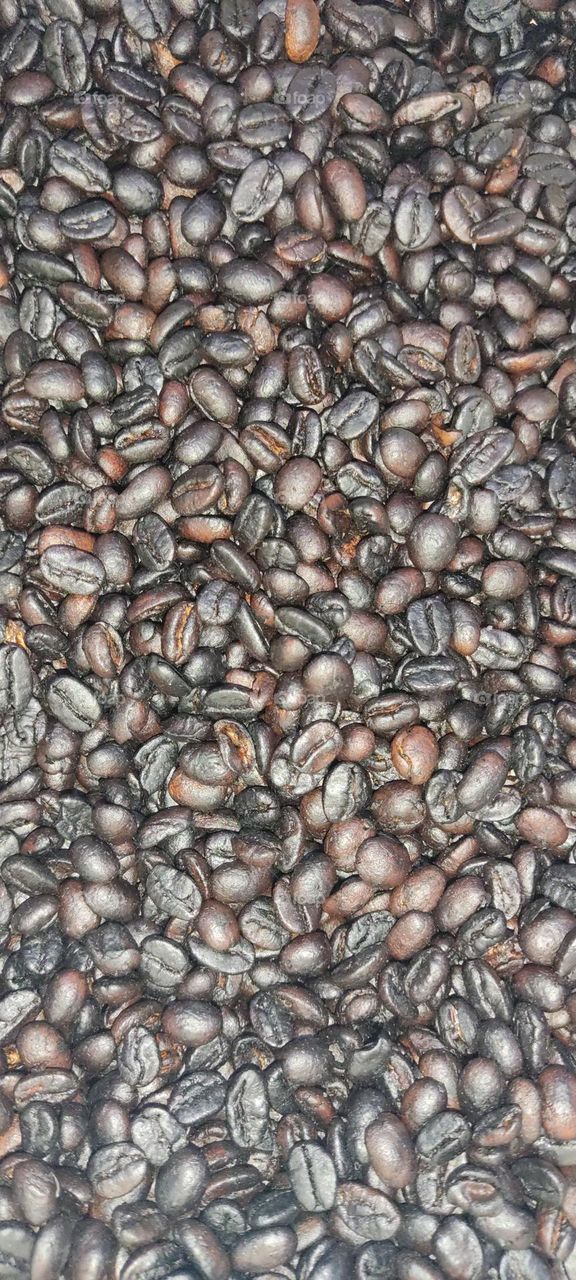 Grano de café, tueste suave ☕