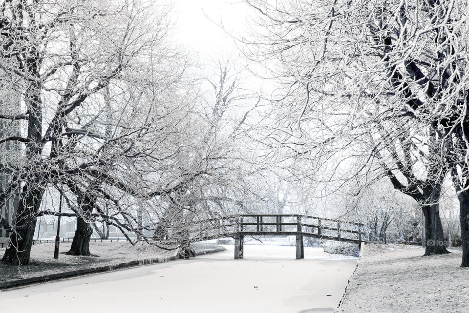 Scenic view of bridge in winter