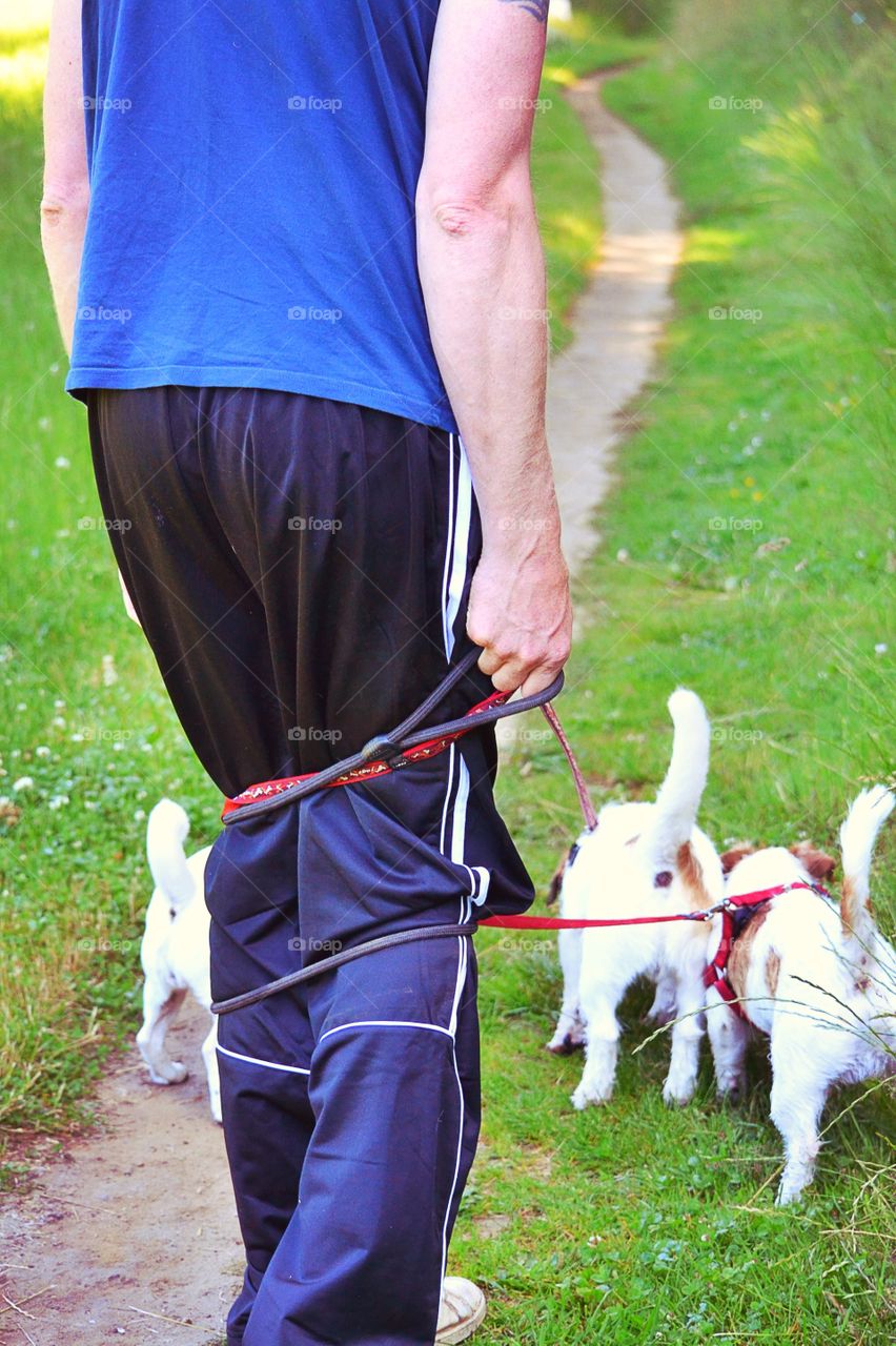 Trouble. Man walking with dogs