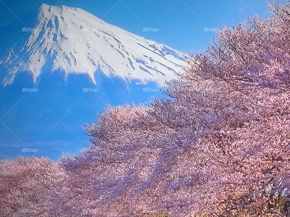 Winter Hills in Canada 