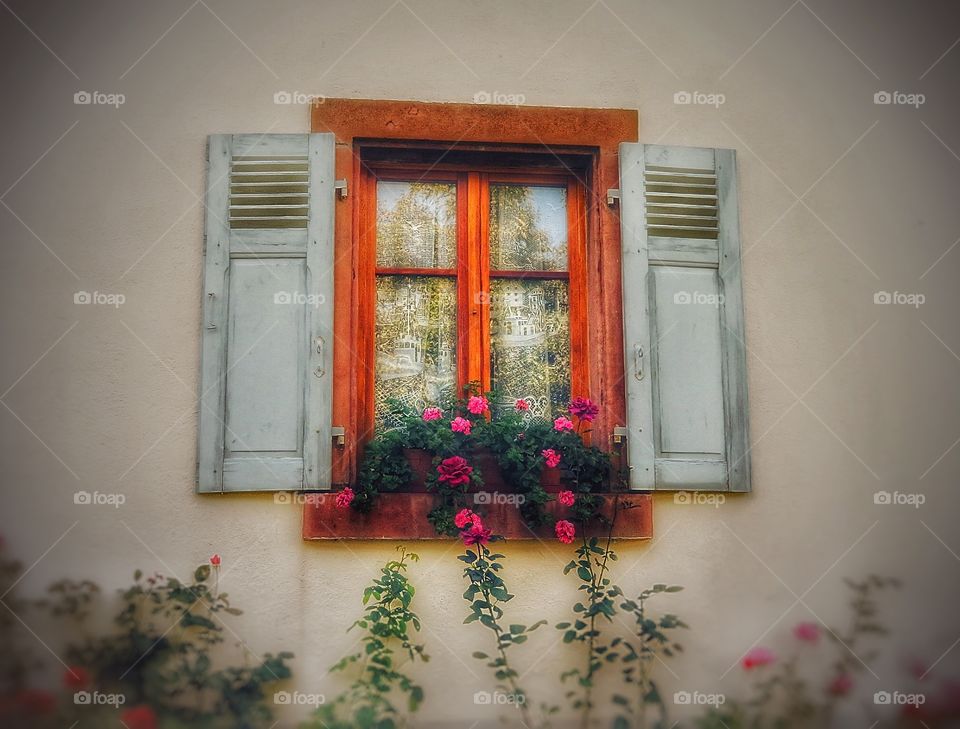 Typical window Alsace France