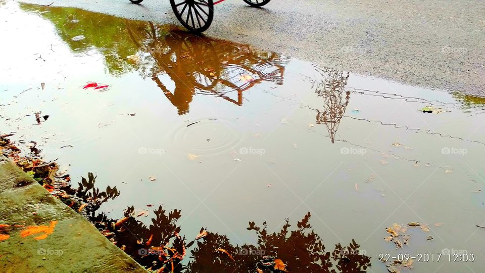 Autumn rain reflections