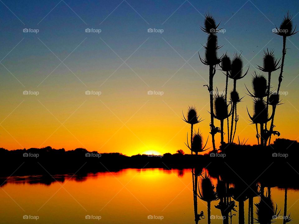 sunset  by the lake