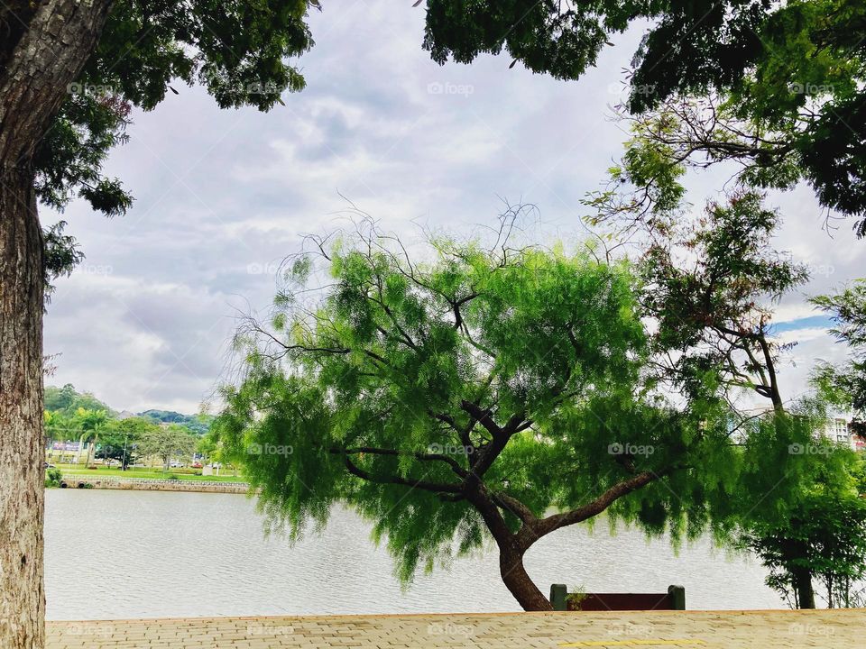 Vendo esse banco solitário à beira do Lago, fico invejando: que vontade de sentar sem nada a fazer, curtindo essa paisagem…
Um dia eu chego lá!