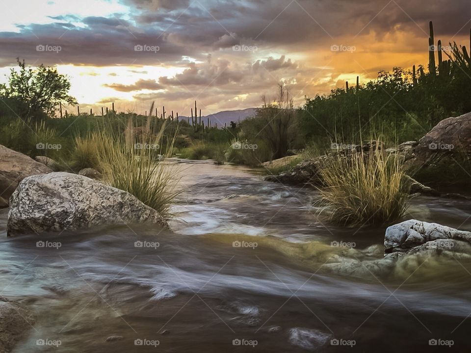 Nature Landscape - Sunset 