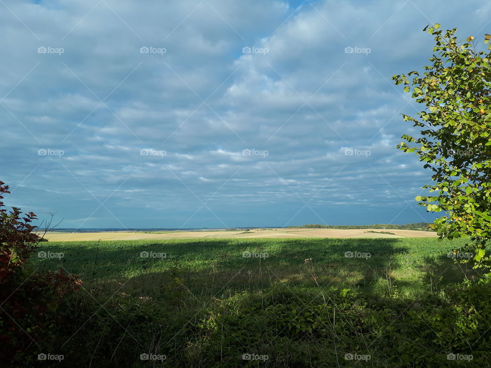 Landscape, Tree, Nature, Sky, No Person