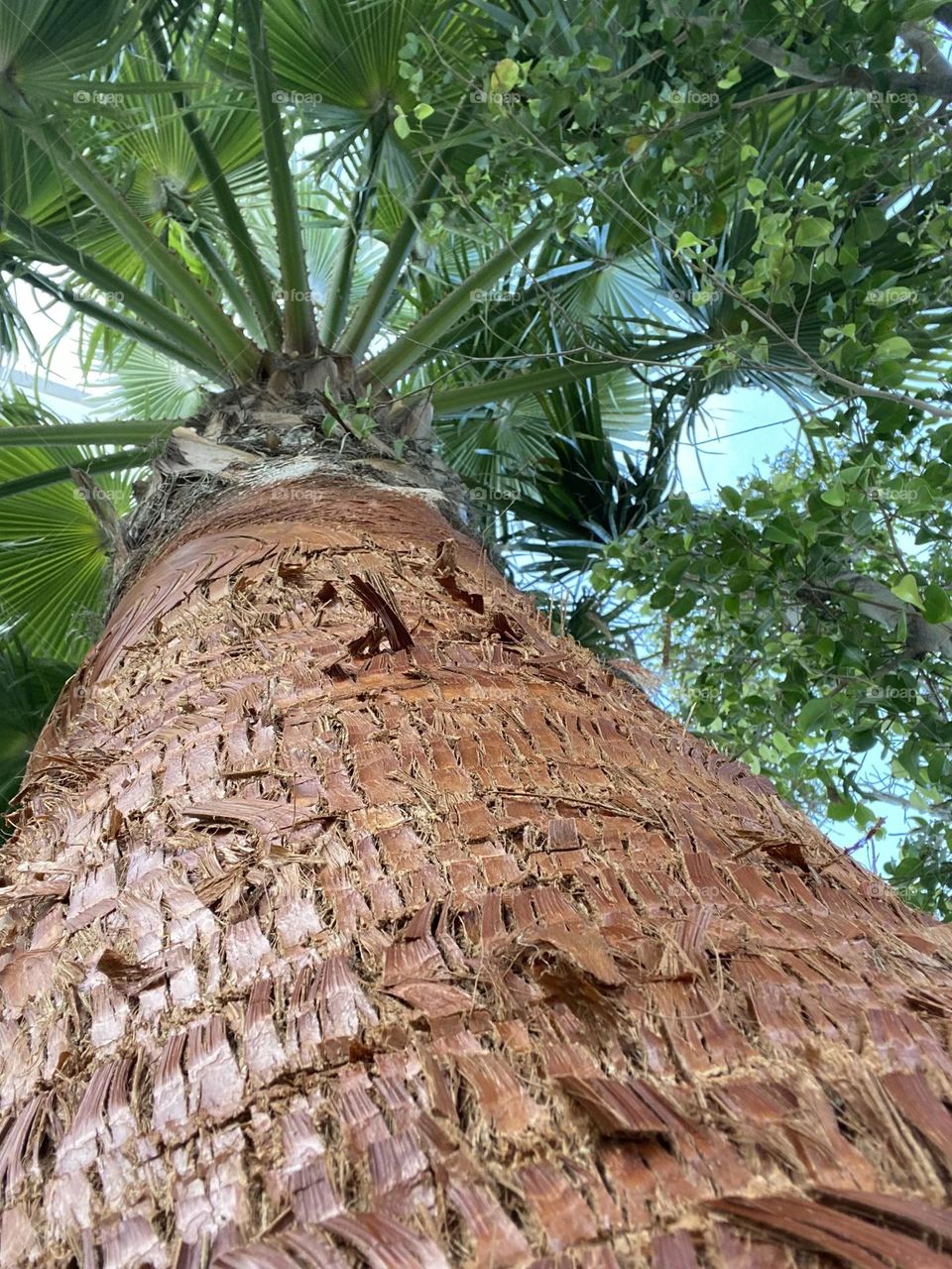 this would be my view ,if i climbed