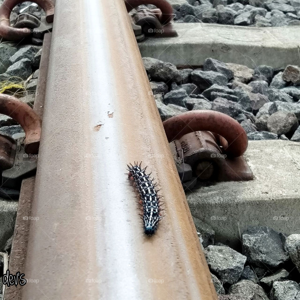 I'm faster than the train