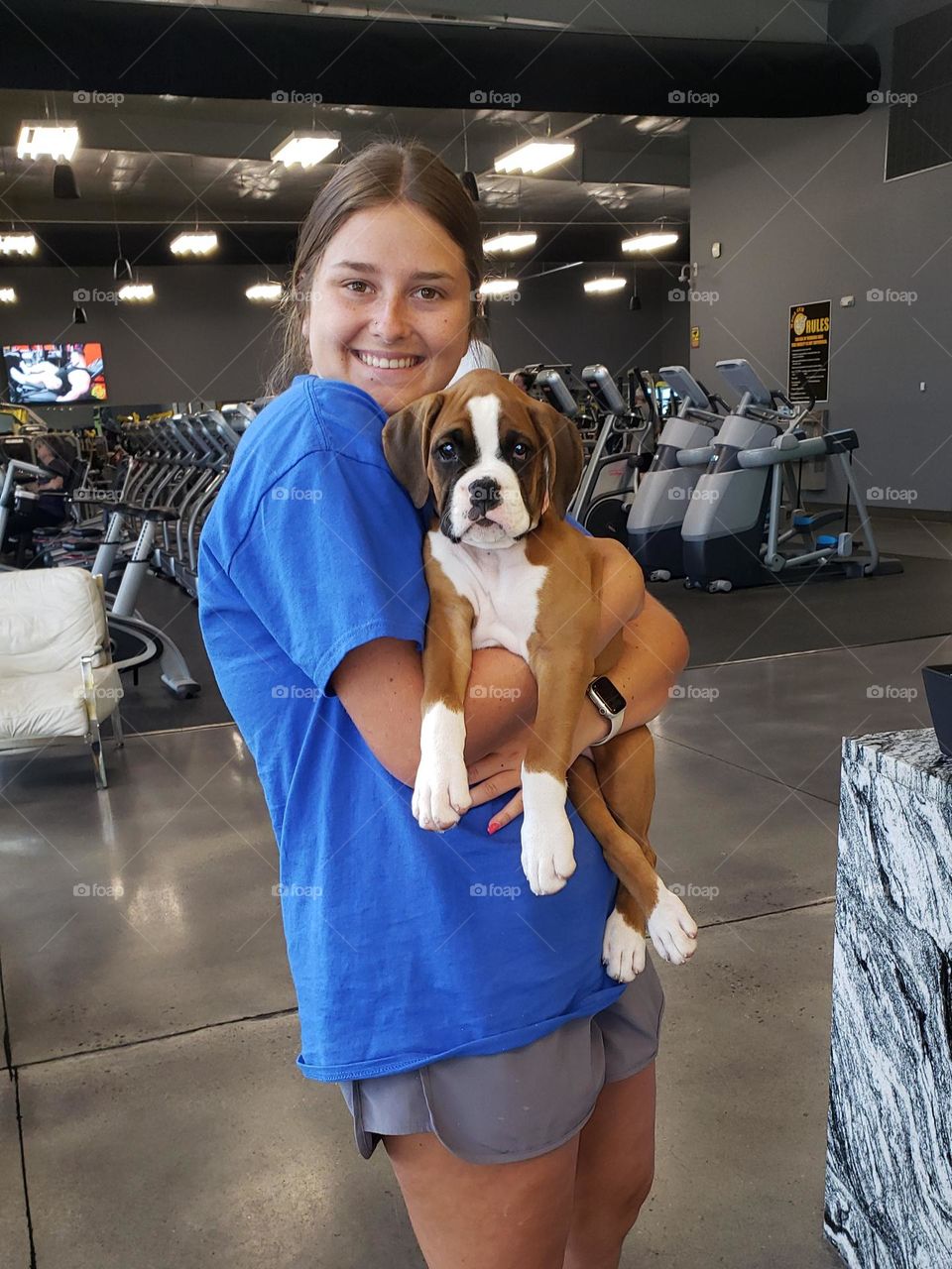 First day with new Boxer puppy.  Showing him off at work.rom the Bonding from the beginning.