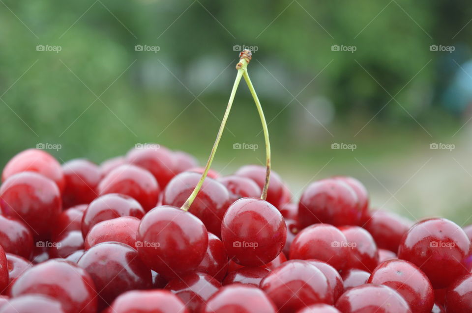 cherry in macro