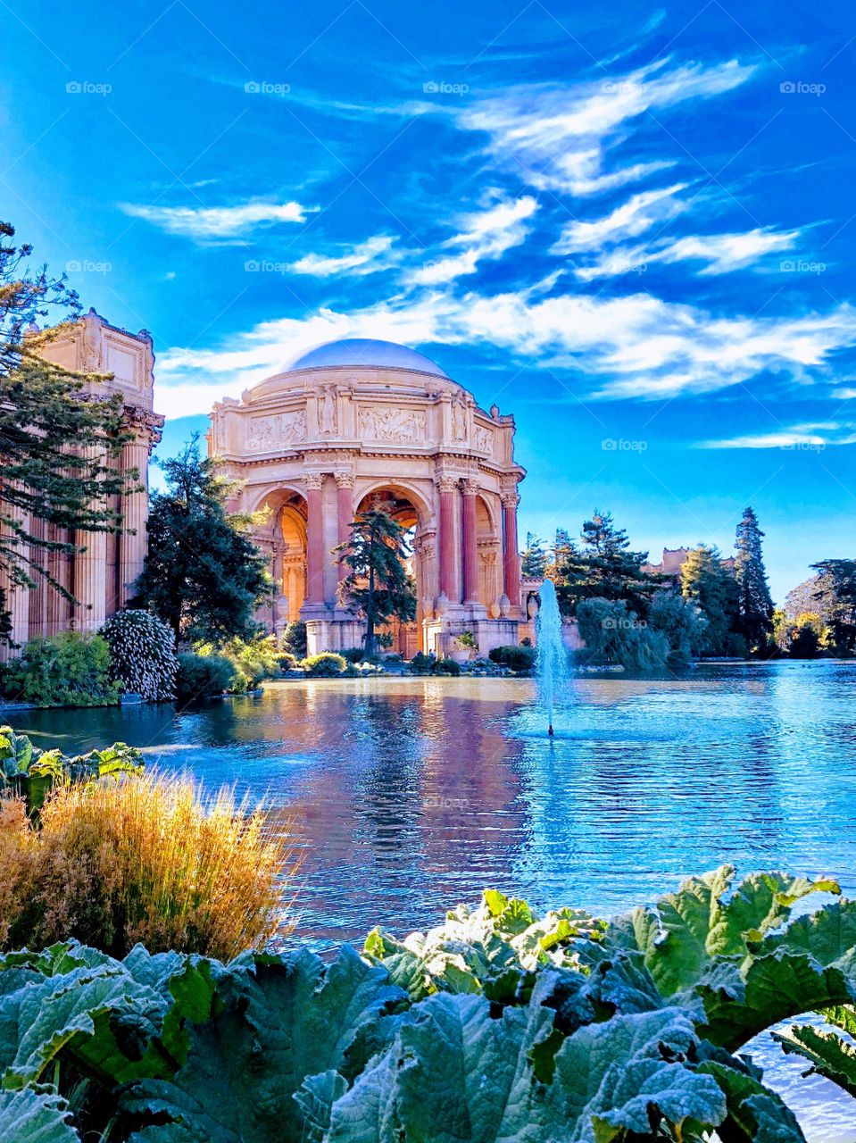 Palace of fine arts