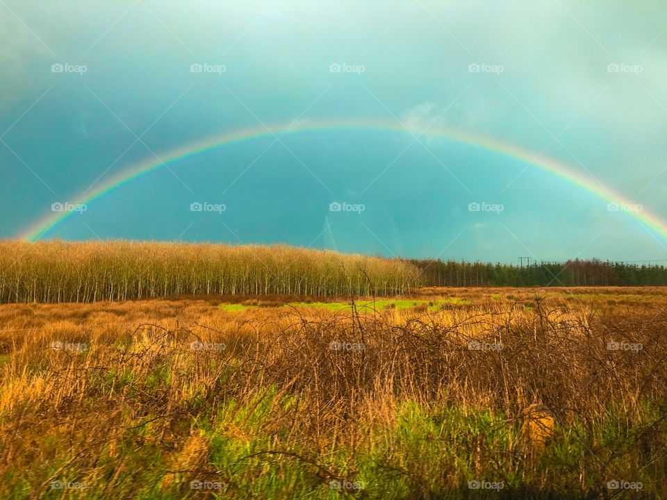 Full rainbow over a field 
