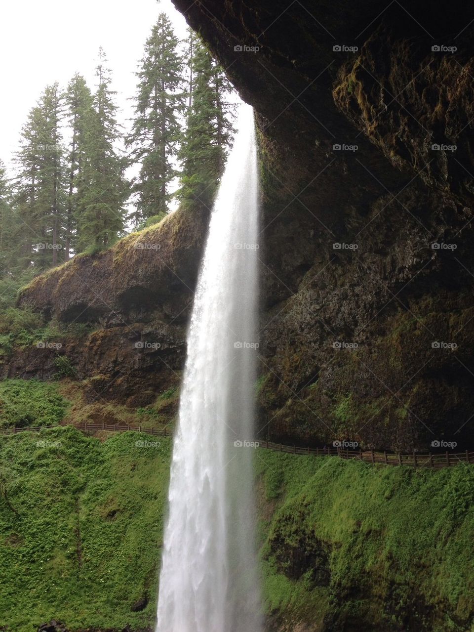 Waterfall Pacific Northwest