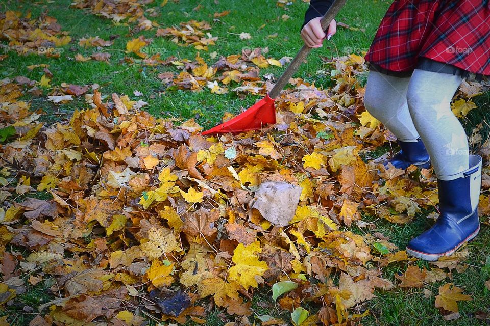 Raking leaves