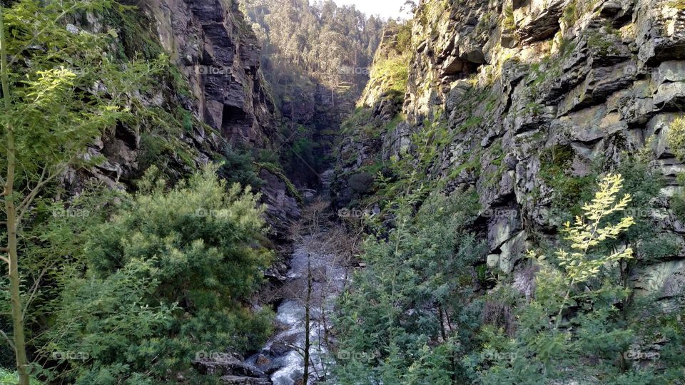 River descending stone canyon passing through the trees in the forest