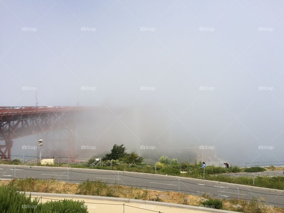 Fog at the bridge 