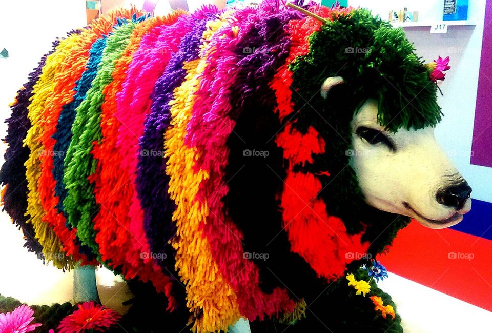 coat of many colours